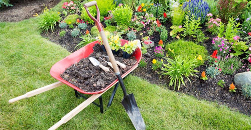 Nos services d’entretien de jardins à Melun