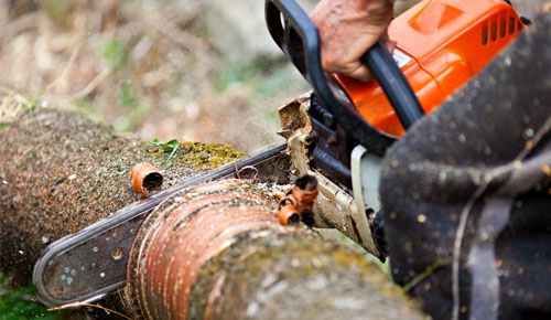 Des travaux d’abattage et d’élagage d’arbre